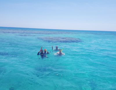 Schnorcheln im Roten Meer