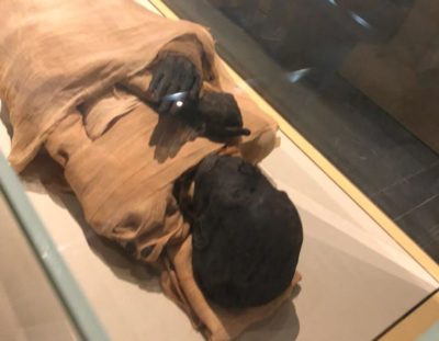Mumie ägyptisches Museum